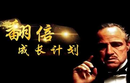 图片[1]-游资教父-炒股技巧《翻倍成长计划》实战股票讲座视频教程 - 中创网-中创网