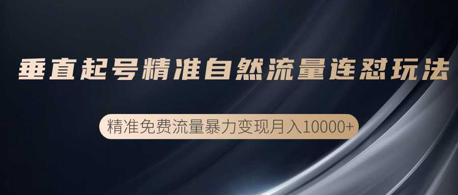 图片[1]-垂直起号精准自然流量连爆玩法，精准引流暴力变现月入10000+ - 中创网-中创网