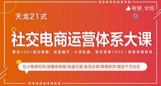 图片[1]-社交电商运营课程，实体新零售拉新留存转化即学即用 - 中创网-中创网