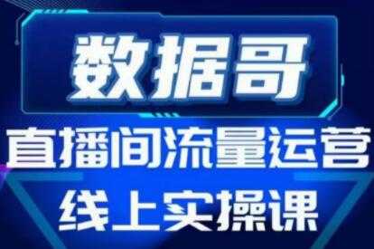 图片[1]-数据哥《直播间流量运营线上实操培训课程》不能错过的一套系统课教程 - 中创网-中创网