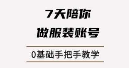 锤石传媒张智诚7天陪你做服装账号，0基础手把手教学课程视频 - 中创网-中创网