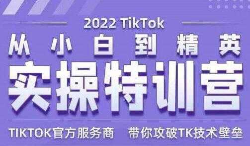 图片[1]-Seven漆《Tiktok从小白到精英实操特训营》带你掌握Tiktok账号运营 - 中创网-中创网