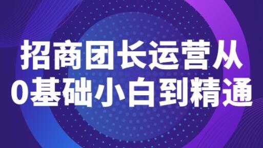 图片[1]-《招商团长运营》从0基础小白到精通 - 中创网-中创网