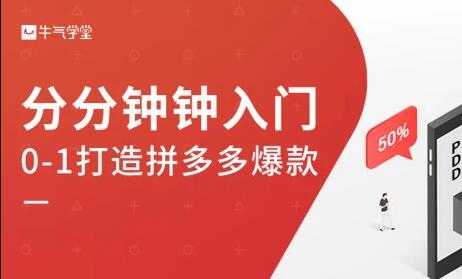 图片[1]-牛气学堂《拼多多实战运营指南》培训课程 - 中创网-中创网