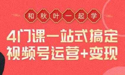 一站式搞定视频号运营变现，从0到1学视频号运营实操培训课程视频 - 中创网-中创网