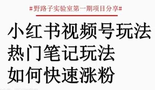 图片[1]-小红书视频号项目，直接上手操作，月入过万 - 中创网-中创网