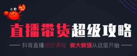 抖音直播带货超级攻略：抖音直播带货的详细玩法，小店运营、付费投放等 - 中创网-中创网