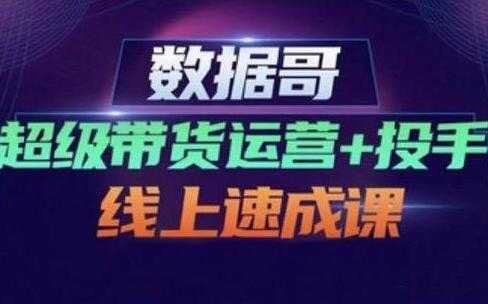 数据哥《超级带货运营+投手线上速成课》快速提升运营和熟悉学会投手技巧 - 中创网-中创网
