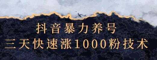 抖音暴力养号《三天快速涨1000粉技术》 - 中创网-中创网