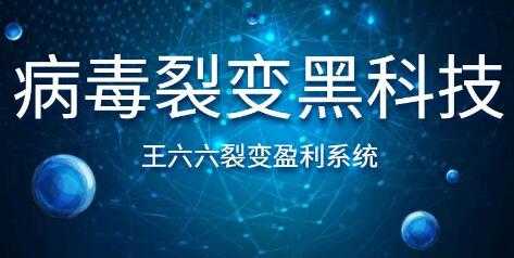 图片[1]-王六六裂变盈利系统课程第六课，病毒裂变黑科技 - 中创网-中创网