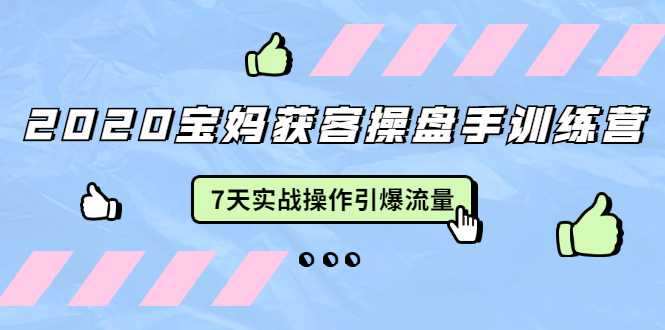 图片[1]-2020宝妈获客操盘手训练营：7天实战操作引爆 母婴、都市、购物宝妈流量 - 中创网-中创网