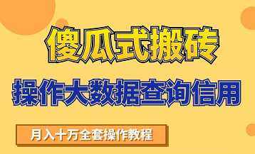 搬砖操作大数据查询信用项目赚钱教程，祝你快速月入6万 - 中创网-中创网