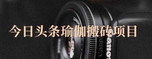 猎人社区·今日头条瑜伽搬砖项目，单号一天几十收入，可以批量操作！ - 中创网-中创网