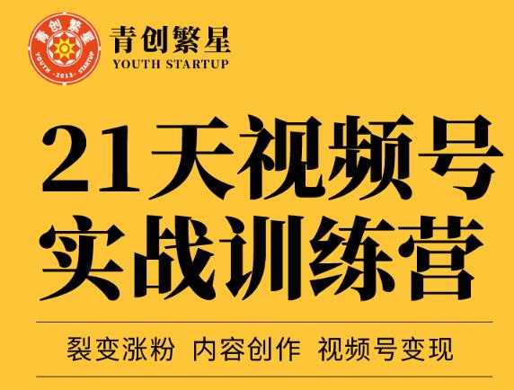 张萌21天视频号实战训练营，裂变涨粉、内容创作、视频号变现 价值298元 - 中创网-中创网