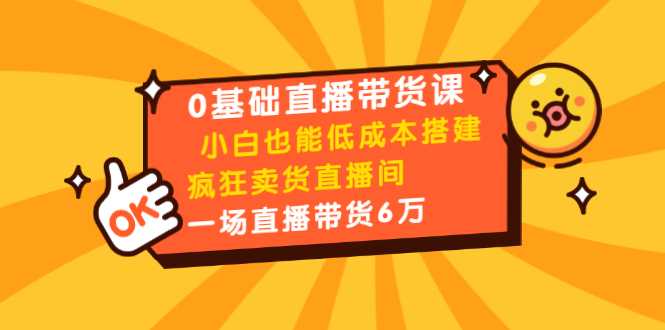 0基础直播带货课：小白也能低成本搭建疯狂卖货直播间：1场直播带货6万 - 中创网-中创网