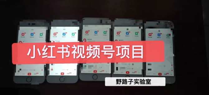 图片[1]-野路子小红书视频号1.0项目，直接上手操作就能赚钱的视频号项目 - 中创网-中创网