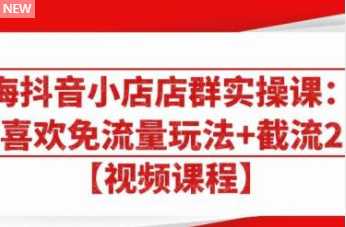 图片[1]-大海抖音小店店群实操课：猜你喜欢免流量玩法+截流 2.0 - 中创网-中创网