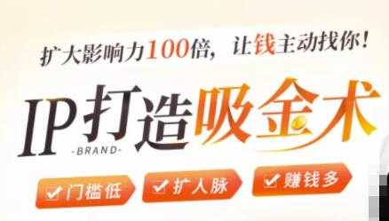 IP打造吸金术：0基础0资源，也能扩大影响力100倍，让钱主动找你！ - 中创网-中创网