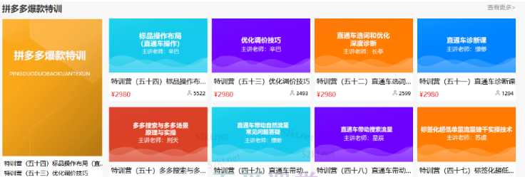 图片[1]-多多大师VIP拼多多运营培训课程价值2980元 - 中创网-中创网