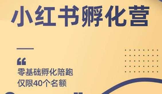 勇哥小红书撸金快速起量项目：教你如何快速起号获得曝光，做到月躺赚在 3000+ - 中创网-中创网