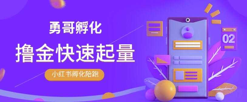 图片[1]-勇哥·小红书撸金快速起量陪跑孵化营，教你在小红书平台实现副业的睡后收入 - 中创网-中创网