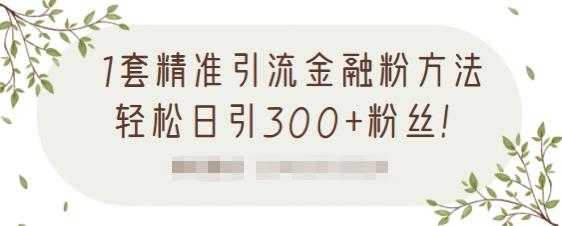 1套精准引流金融粉方法，轻松日引300+粉丝 - 中创网-中创网