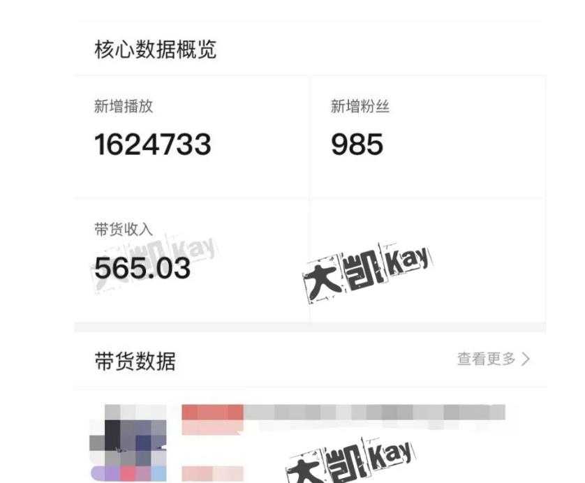 大凯进阶圈新玩法之拼多多视频玩法，利润大概一个号一天能有500~1500的左右! - 中创网-中创网
