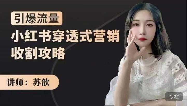 苏歆：小红书穿透式营销收割攻略，引爆流量，助你玩转小红书 - 中创网-中创网