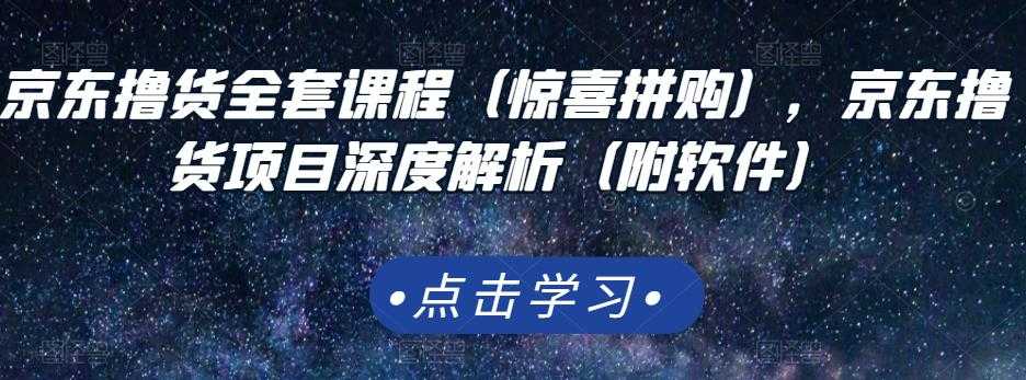 京东撸货全套课程（惊喜拼购），京东撸货项目深度解析（附软件） - 中创网-中创网