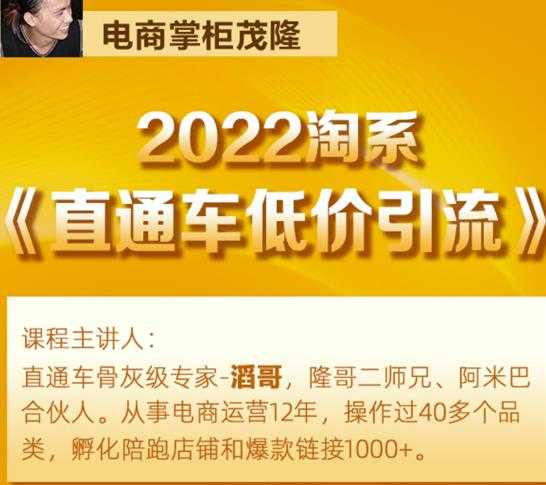 茂隆2022直通车低价引流玩法，教大家如何低投入高回报的直通车玩法 - 中创网-中创网