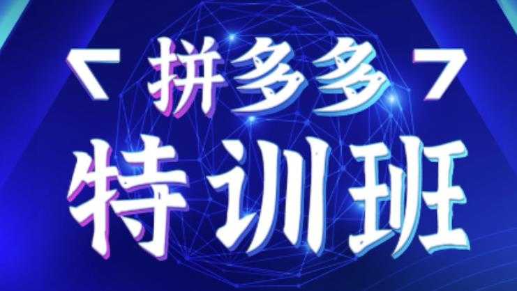 星雪教育·拼多多基础班+进阶班+突破班，用系统的学习模式快速改变现状价值3580元 - 中创网-中创网