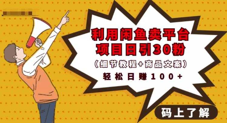利用闲鱼卖平台项目课程资源日引流30+精准粉丝，轻松日赚100+，积累人脉可实现二次变 - 中创网-中创网