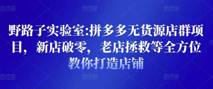 图片[1]-野路子实验室:拼多多无货源店群项目，新店破零，老店拯救等全方位教你打造店铺 - 中创网-中创网
