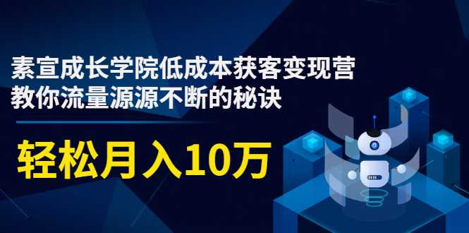图片[1]-素宣成长学院低成本获客变现营，教你流量源源不断的秘诀，轻松月入10万 - 中创网-中创网