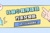 抖音小程序项目，方法交给你，按照方法去做就能赚钱了 - 中创网-中创网