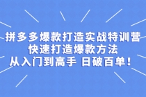 拼多多爆款打造实战特训营：快速打造爆款方法，从入门到高手 日破百单 - 中创网-中创网
