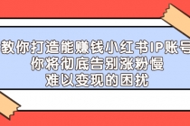 教你打造能赚钱小红书IP账号：你将彻底告别涨粉慢，难以变现的困扰 - 中创网-中创网