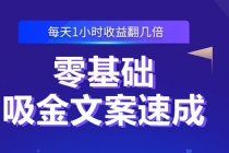 零基础吸金文案速成：小白也可以写出爆款文章，每天一小时收益翻几倍 - 中创网-中创网