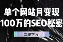 单个网站月变现100万的SEO秘密：如何百分百做出赚钱站点 - 中创网-中创网