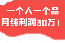 某公众号付费文章：一个人一个品月纯利润30万的蓝海电商经典案例！ - 中创网-中创网