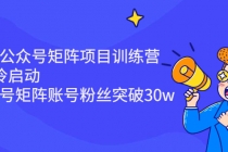 蓝海公众号矩阵项目训练营，0粉冷启动，公众号矩阵账号粉丝突破30w - 中创网-中创网