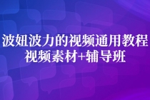 波妞波力的视频通用教程+视频素材+辅导班 - 中创网-中创网