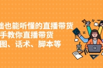 0基础也能听懂的直播带货，手把手教你直播带货 链路图、话术、脚本等 - 中创网-中创网