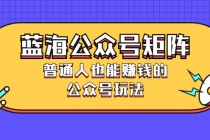 蓝海公众号矩阵：普通人也能赚钱的公众号玩法，月入过N万 - 中创网-中创网