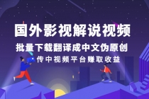 国外影视解说视频，批量下载翻译成中文伪原创，传中视频平台赚取收益 - 中创网-中创网
