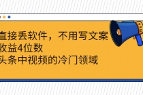 直接丢软件，不用写文案，收益4位数头条中视频的冷门领域 - 中创网-中创网