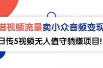 借视频流量，卖小众音频变现，日传5视频无人值守躺赚项目！ - 中创网-中创网