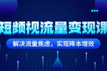 短频视流量变现课：解决流量焦虑，实现降本增效 - 中创网-中创网