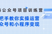 蓝海公众号项目训练营，手把手教你实操运营公众号和小程序变现 - 中创网-中创网
