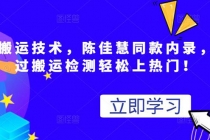 最新搬运技术视频替换，陈佳慧同款内录，测试最高跑了2亿 - 中创网-中创网